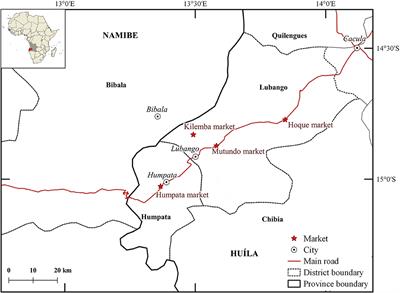Nutritional and Functional Properties of Wild Leafy Vegetables for Improving Food Security in Southern Angola